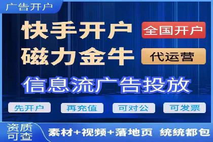 搜索引擎营销（SEM）的广告创意与落地页设计——以某成功创业公司的实践为例
